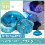 クラウドビー アクアタートル