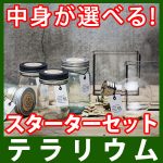 テラリウム